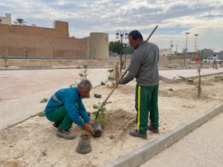 کاشت درخت در پارک کلات اهرم