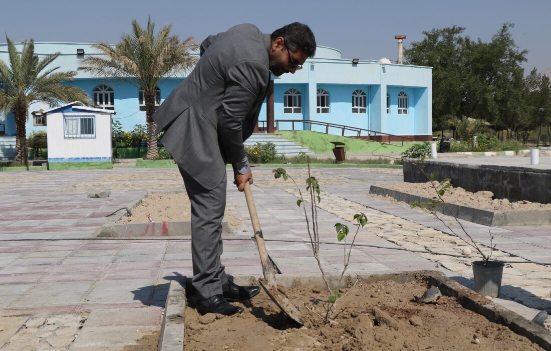 بمناسبت روز درختکاری،کاشت نهال توسط شهردار اهرم در دهکده آبدرمانی آبگرم