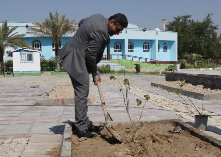 بمناسبت روز درختکاری،کاشت نهال توسط شهردار اهرم در دهکده آبدرمانی آبگرم